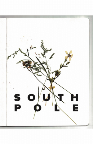 'South Pole' zine cover, a scanned photo of some pressed small weed flowers with the text South Pole written in big, bold, black, capital letters.