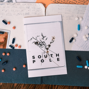 'South Pole' zine cover, a scanned photo of some pressed small weed flowers with the text South Pole written in big, bold, black, capital letters.